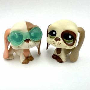 Authentic Littlest Pet Shop #2096 & #1594 Basset Hound Hund / Original Hasbro LPS - Bild 1 von 8