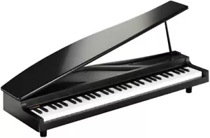 New KORG micro Piano Digital Piano Keyboard U2540 250319 - Picture 1 of 1