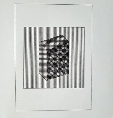 Sol LeWitt оригинальный сериграф / шелкография пластина VIII от "Ficciones" 1984 w/doc - Изображение 1 из 4