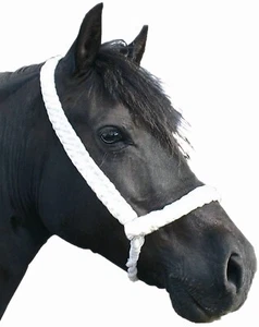 Hand Plaited White Show Halter Welsh Pony Cob M & M Traditional Long lead. Best! - Picture 1 of 11