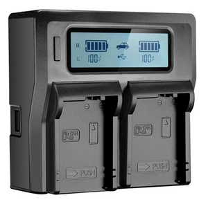 Cargador LCD de doble canal para Panasonic VBD29 VBD58 VBD78 D16S D28S D54S D54SH - Imagen 1 de 11