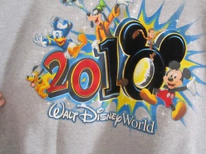 WALT DISNEY WORLD Sweat Shirt BY HANES 2010 FLEECE TOP SZ L GRAY NEW - Picture 1 of 4