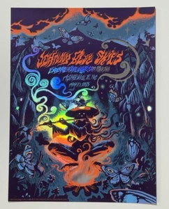 Póster Johnny Blue Skies Asheville NC 21/05/25 Oficial #’d Serigrafía LÁMINA X/15! - Imagen 1 de 19