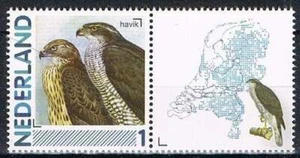 Persoonlijke zegel Vogels / Birds MNH 2791-Aa-23 + Tab/R: Havik - Bild 1 von 1