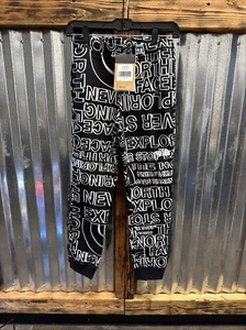 The North Face Base Camp Logo Fleece Lined Jogger Black Sweatpants Boys Large - Picture 1 of 3