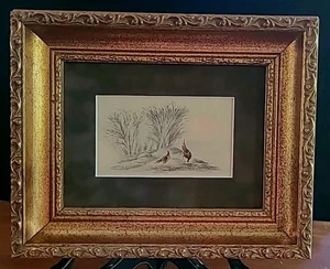 19th Century Original Oil Pencil Pheasant Hen Rooster Dated Jan 1820 W Harris L? - Picture 1 of 9