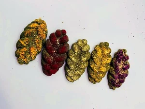 Paquete de 5 hojas florales galleta Timothy heno hierba conejo, chinchilla, hámster, rata - Imagen 1 de 6