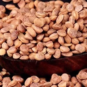 Organic Charoli Seeds Chudappah Almonds Saara Paruppu Cheraunji Nuts Cooking - Picture 1 of 1