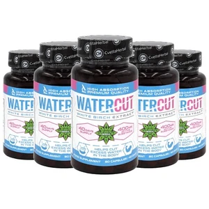 White Birch Extract Diuretic Fat Burn Water Retention 5 x 80 capsules 400mg - Picture 1 of 12