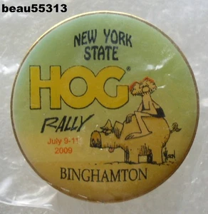 ⭐2009 HARLEY OWNERS GROUP HOG BINGHAMTON NEW YORK ANNUAL STATE RALLY VEST PIN - Picture 1 of 1