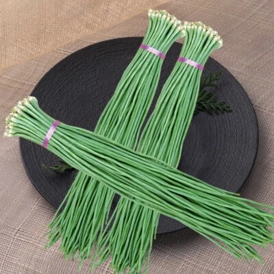 5g/30pcs+ Yardlong Bean Seeds, Asian Long Bean String Bean Seeds 长豆角种子 - Image 1 of 2