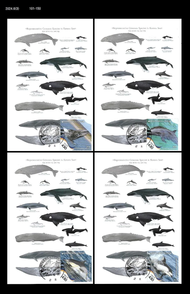 Especies Marinas Protegidas, Ballena, Delfín, Vida Silvestre, Corea 2024 Max.Card, Cetáceo Foto 1 de 1