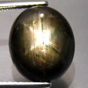 9.30 CT 13X10MM AMAZING 6RAYS FLASH NATURAL BLACK STAR SAPPHIRE LOOSE GEMSTONE - Picture 1 of 3