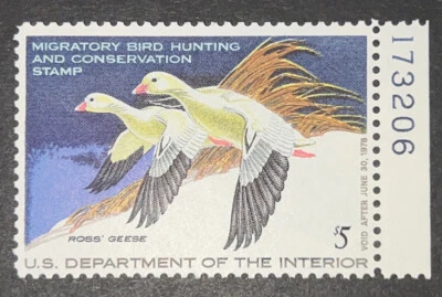 Travelstamps: 1977 US DUCK STAMPS  SCOTT #RW44 $5 ROSS's GEESE MINT OG NH - Image 1 of 4