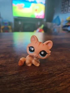 Littlest Pet Shop 649 stella di gatto negli occhi - Foto 1 di 4