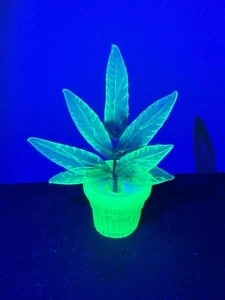 Scultura Pianta di Uranio - Foto 1 di 6