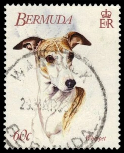 BERMUDA 640 (SG657) - Kennel Clubs "Whippet" (pa72859) - Imagen 1 de 1