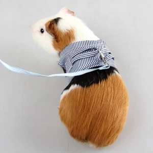 Hamster Lead Leash Chinchilla Dutch Pigs Out Pulling Rope Strap Cotton Costumes - Picture 1 of 13