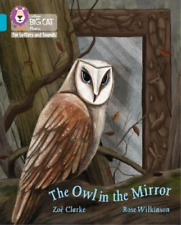Zoë Clarke The Owl in the Mirror (Paperback)