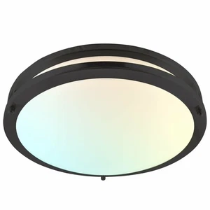 Luxrite 14 Inch LED Flush Mount 5 CCT Dimmable 18W 1440 Lumens Matte Black - Picture 1 of 7