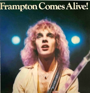 Peter Frampton - Frampton Comes Alive - Japan Vinyl 2 LPs Insert - GXG-1003-4 - Picture 1 of 7