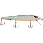 Smithwick Super Rogue 3/8 oz Fishing Lure - Chrome/Blue/Orange Belly