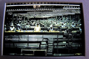 3-Dole Pineapple Farm Cannery Factory Tour 1990 Travel Slide Film Photographs - Picture 1 of 4