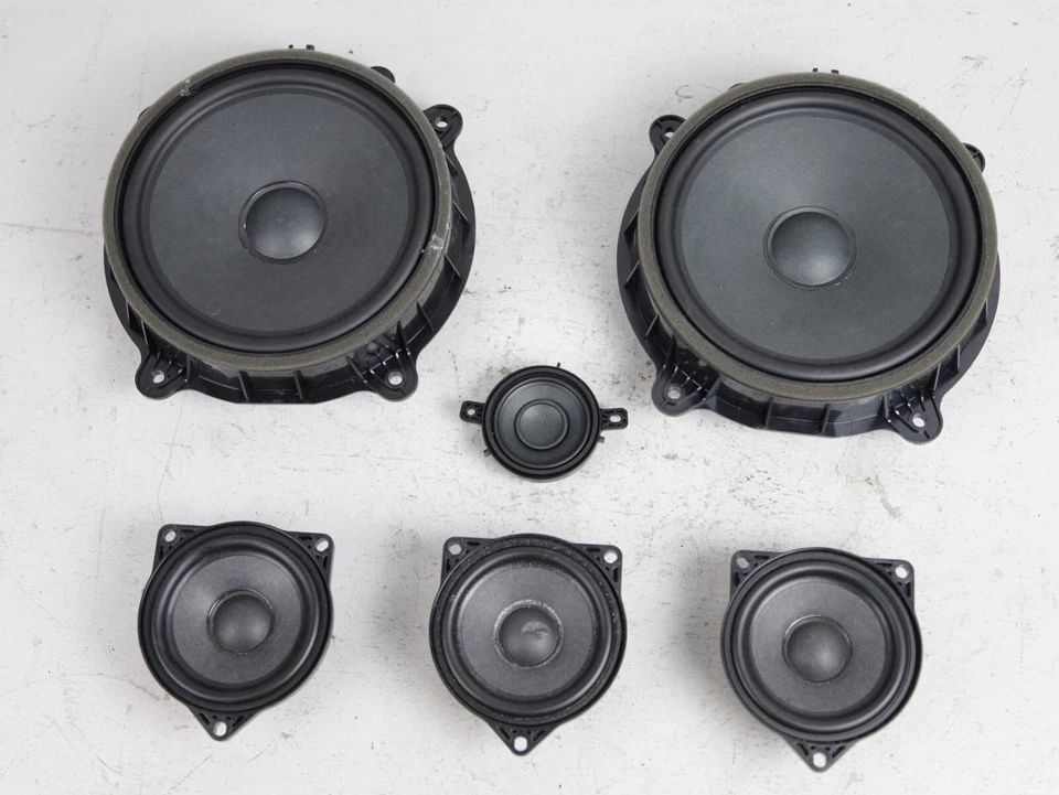 2017-2023 TESLA MODEL 3 SUBWOOFER SUB WOOFER SPEAKER SET OF 6 OEM 12k Foto 1 de 4