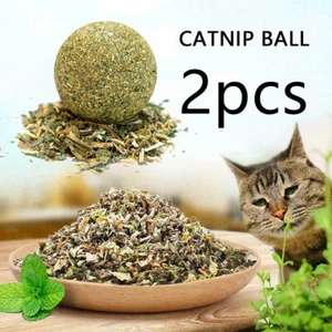 2 pcs Purrfect Pet Snacks Catnip and Mint Ball Toy for Feline Fun and Games E5K5 - Picture 1 of 17