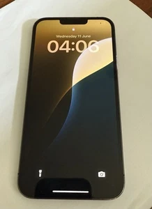 iPhone 13 Pro Max 128GB - grafitowy (odblokowany) - DOSKONAŁY STAN - ODBLOKOWANY - Zdjęcie 1 z 7