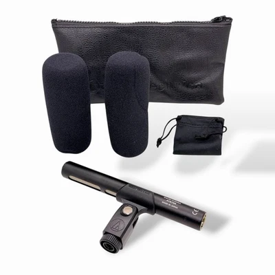 Micrófono condensador de escopeta de línea/gradiente Audio-Technica AT875R (A1D024763) Foto 1 de 4