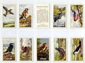 Full Set, Gallaher, British Birds 1937 VG+ (Gd2562) 48/48 - Picture 1 of 1