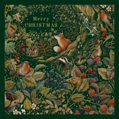 THE ART FILE Pack of 6 Secret Garden Merry Christmas Cards - UK Charity Made Xmas Cards