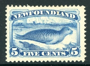 Canada 1880 Newfoundland 5¢ QV Pale Blue Scott #53 Mint Q864 - Picture 1 of 6