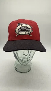 Vintage Carolina Mudcats Snapback Hat Cap New Era Pro Model MiLB Minor M-L USA - Picture 1 of 7