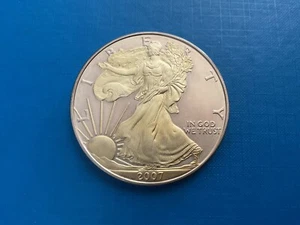2007 1oz Silver Eagle Gold Guilded Walking Liberty. In Capsule. - Picture 1 of 2