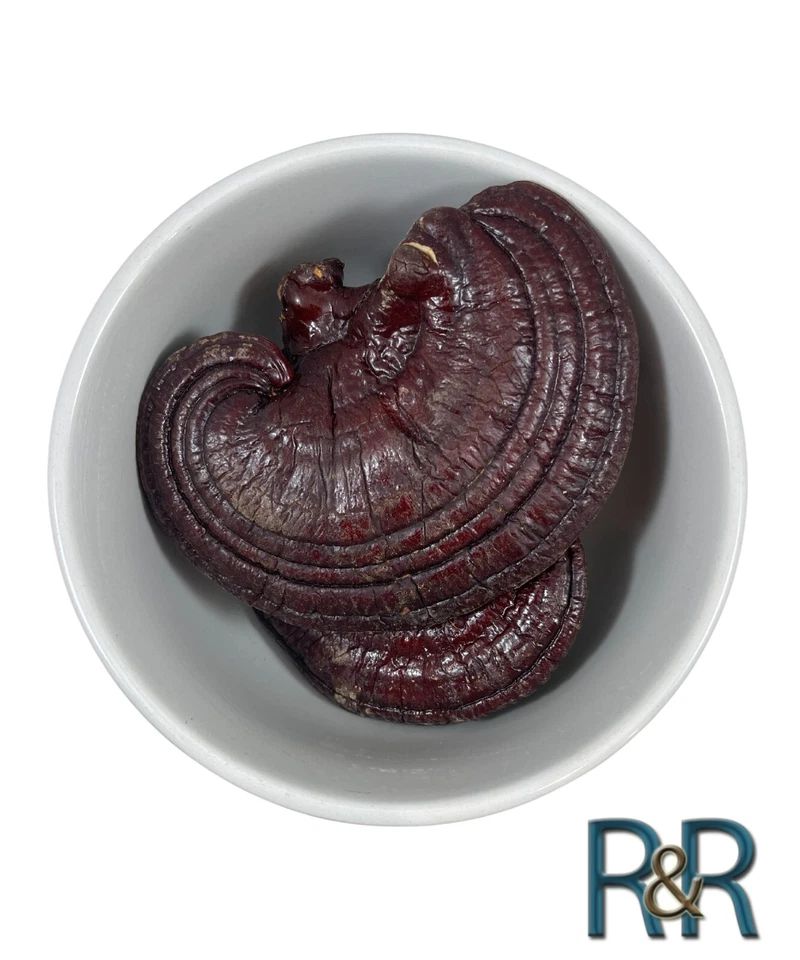 Red Reishi WHOLE Mushroom Organic (Ganoderma Lucidum) Ling Zhi Free Ship + USA - Image 1 of 2