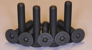 10 x Titan Schrauben / Titanium Grade 5 Screws DIN 7991 TORX T10 M4 x 19 - Picture 1 of 1