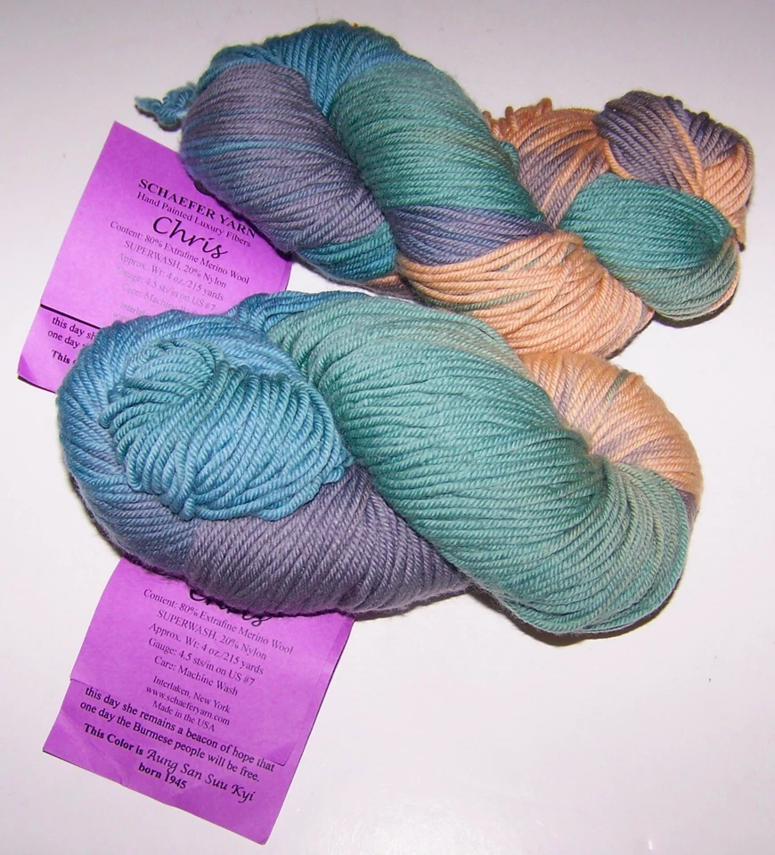 Dos madejas de 4 oz Schaefer CHRIS pintadas a mano merino e hilo de nailon #Aung San Suu Kyi Foto 1 de 1