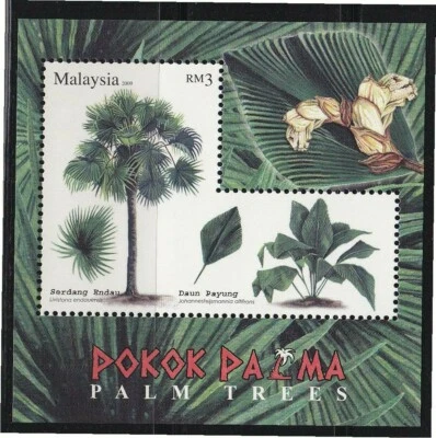 马来西亚 2009 棕榈树物种纪念品 1 张邮票完好未使用  — 第 1/3 张图片