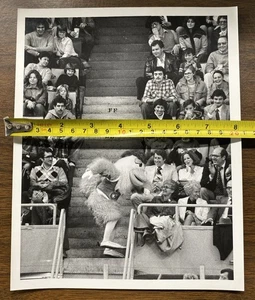RARE 1980's San Diego Chicken Giannoulas Original Photo Bill Wippert Buffalo AUD - Picture 1 of 2