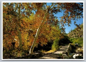 Postcard Arizona Sabino Canyon Second Bridge 22B - Picture 1 of 2