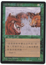 Durkwood Boars T-Chinese Mtg MISPRINT Flavor text Says, Mark 5:1 instead of 5:13