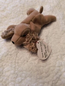 TY Teenie Beanie Baby Spunky the Dog (Cocker Spaniel) - Picture 1 of 1