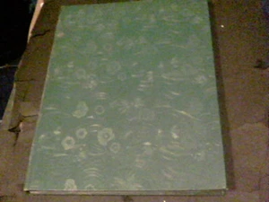 INK a Content Study in the Graphic Arts by Harry E. Hoon 1942 Ohio State - Imagen 1 de 7