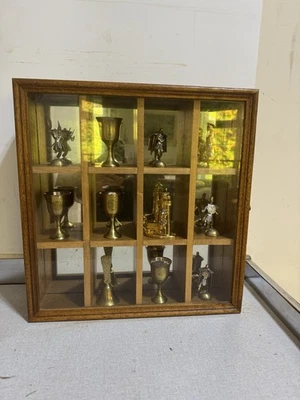 Vitrina de colección gabinete de curiosidades baratija estante caja de exhibición  Foto 1 de 4