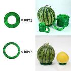 10 Pieces Fruit Display Circle Kitchen Storage Tools Support Mat for Shop