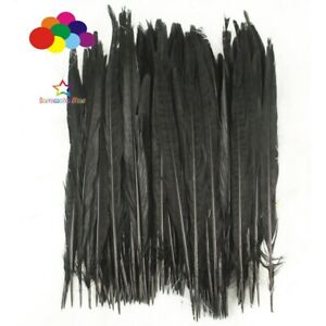 10 pcs/lot natural dyed pheasant tail feathers 25-35cm wedding decoration plumas