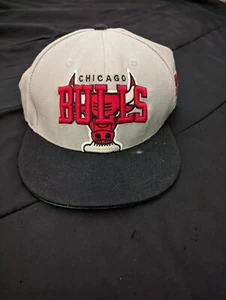 Seltene Chicago Bulls Mütze 47 Marke Made in USA  - Bild 1 von 5