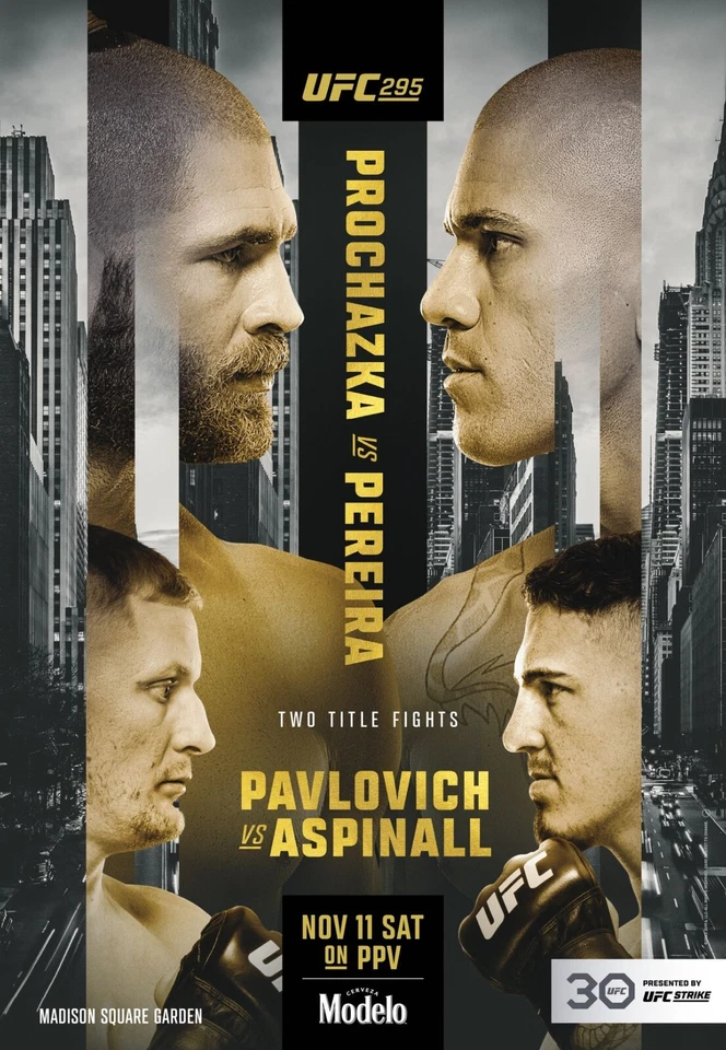 Fight Poster UFC 295 Prochazka vs Alex Pereira 11X16 Pavlovich vs Tom Aspinall